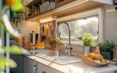 Green on the Go: The Best Houseplants for Your RV