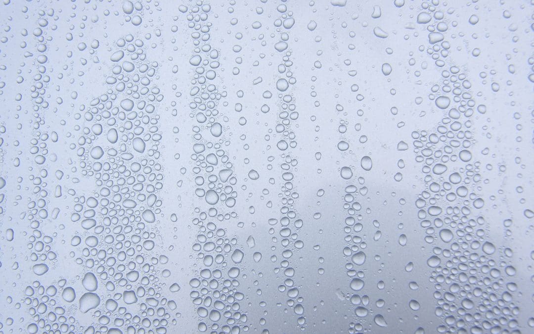 Mastering Moisture Control in Your RV