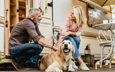 RVing with Your Pet: How to Make the Journey Safe and Fun